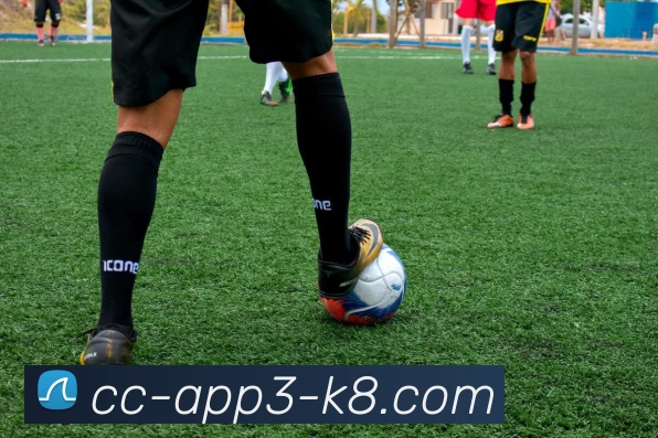 K8凯发娱乐全站App